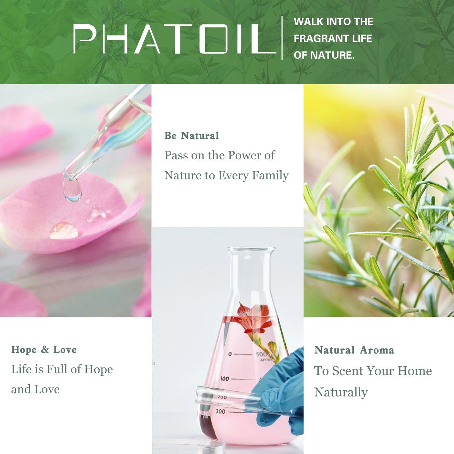 PHATOIL Natural Essential Oils 10ml - Eucalyptus, Lavender, Peppermint for Diffuser